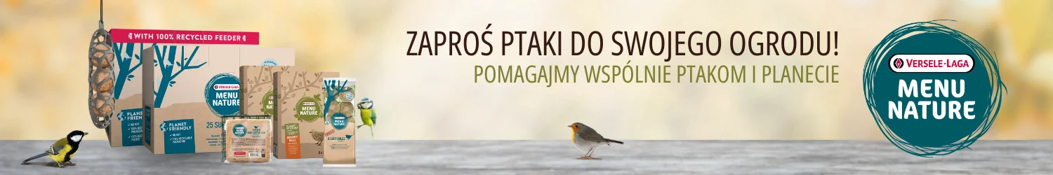 Ptaki