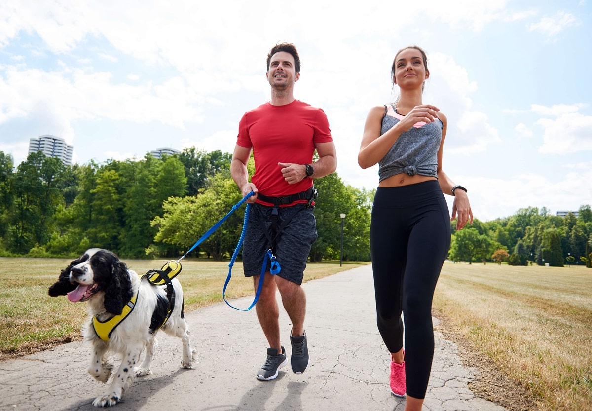 Canicross – wszystko, co musisz wiedzieć o bieganiu z psem	