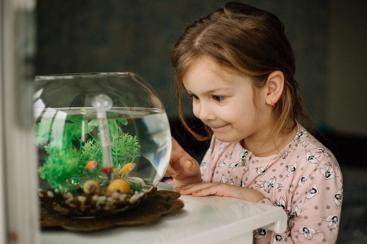 Zakładanie akwarium - czego potrzebujesz, by założyć pierwsze akwarium?