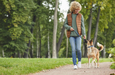 Jak nauczyć psa chodzenia na smyczy – kompleksowy poradnik